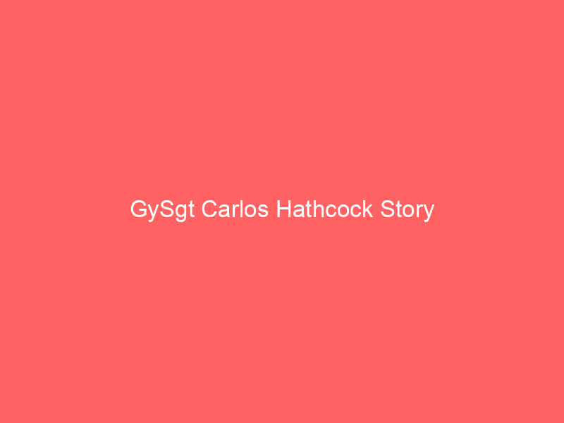 gysgt-carlos-hathcock-story-2